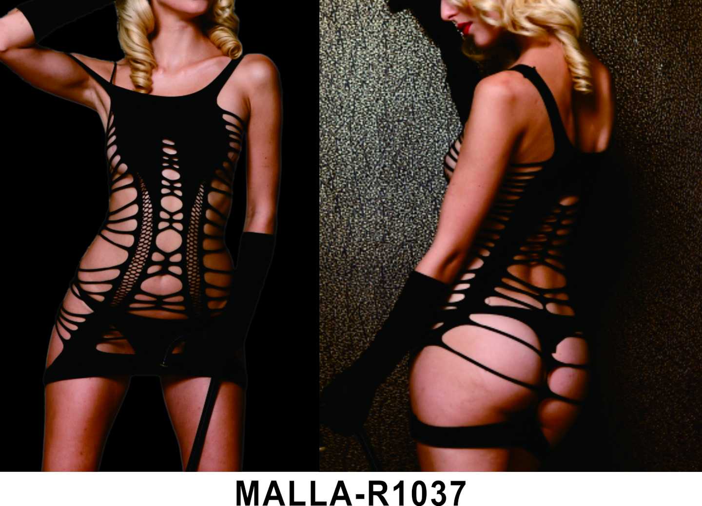 MALLA-R1037
